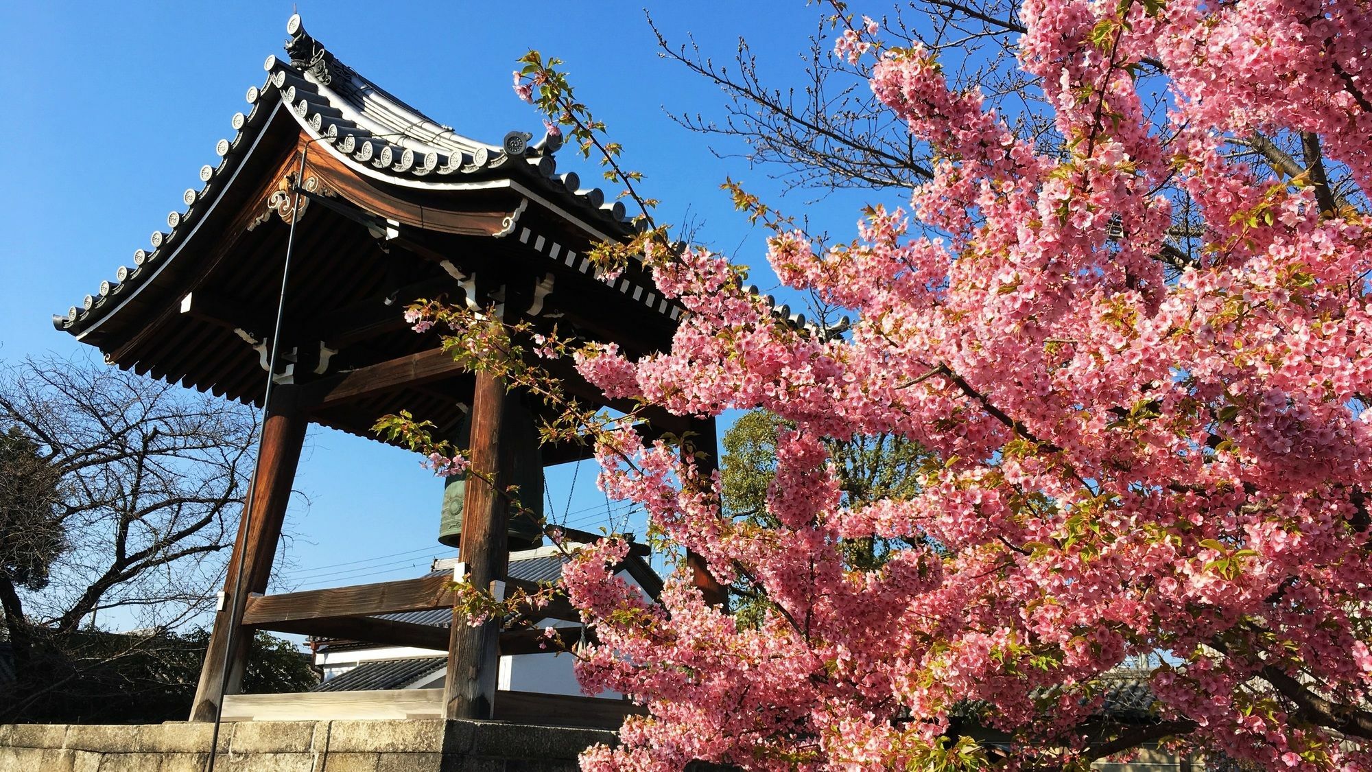 Stay Sakura Kyoto Toji West I Exterior foto